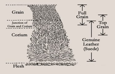 Naturaalse naha kihid
