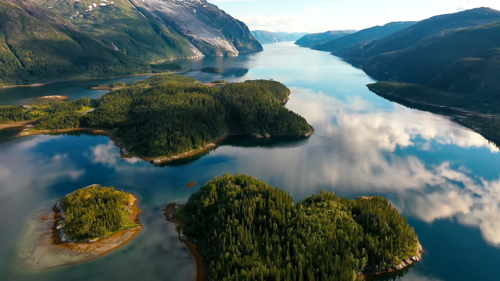 von-baer-jatkusuutlik-ari